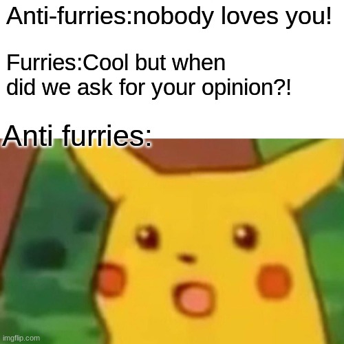 They are jerks | Anti-furries:nobody loves you! Furries:Cool but when did we ask for your opinion?! Anti furries: | image tagged in memes,surprised pikachu | made w/ Imgflip meme maker