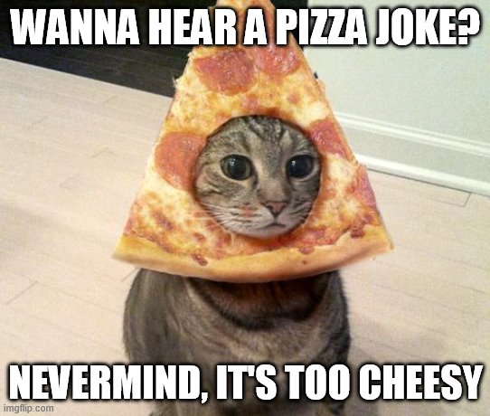 pia | WANNA HEAR A PIZZA JOKE? NEVERMIND, IT'S TOO CHEESY | image tagged in pizza cat,pizza time stops,dad joke,memes | made w/ Imgflip meme maker