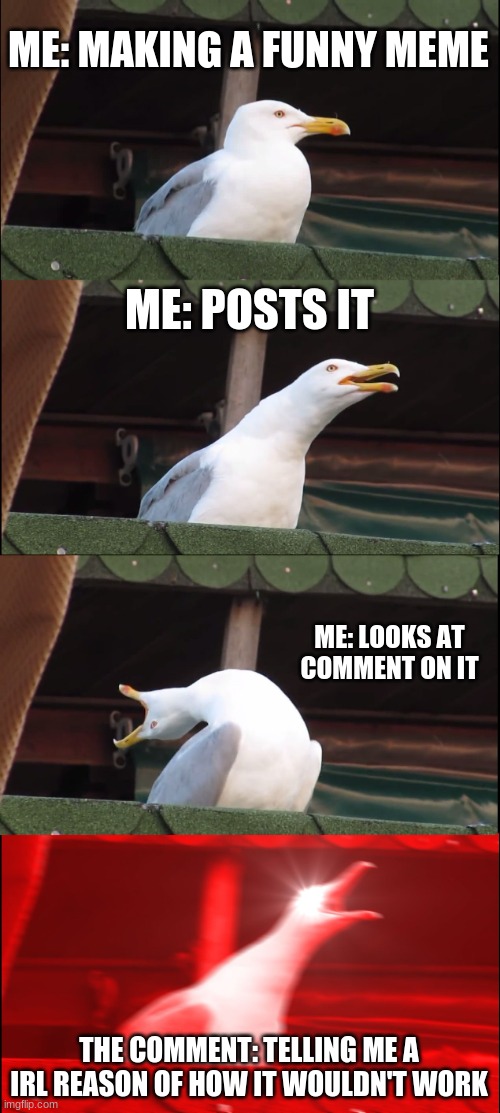 Inhaling Seagull Meme | ME: MAKING A FUNNY MEME; ME: POSTS IT; ME: LOOKS AT COMMENT ON IT; THE COMMENT: TELLING ME A IRL REASON OF HOW IT WOULDN'T WORK | image tagged in memes,inhaling seagull | made w/ Imgflip meme maker
