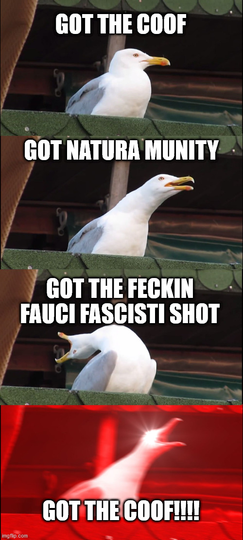 Inhaling Seagull Meme | GOT THE COOF; GOT NATURA MUNITY; GOT THE FECKIN FAUCI FASCISTI SHOT; GOT THE COOF!!!! | image tagged in memes,inhaling seagull | made w/ Imgflip meme maker
