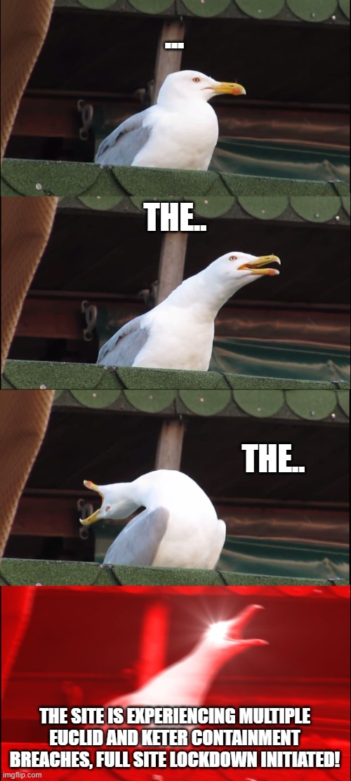 Inhaling Seagull |  ... THE.. THE.. THE SITE IS EXPERIENCING MULTIPLE EUCLID AND KETER CONTAINMENT BREACHES, FULL SITE LOCKDOWN INITIATED! | image tagged in memes,inhaling seagull | made w/ Imgflip meme maker