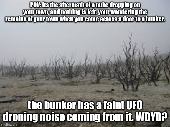 oOoOoOoOoOoOoOo | POV: its the aftermath of a nuke dropping on your town, and nothing is left. your wandering the remains of your town when you come across a door to a bunker. the bunker has a faint UFO droning noise coming from it. WDYD? | image tagged in roleplaying,roleplays | made w/ Imgflip meme maker