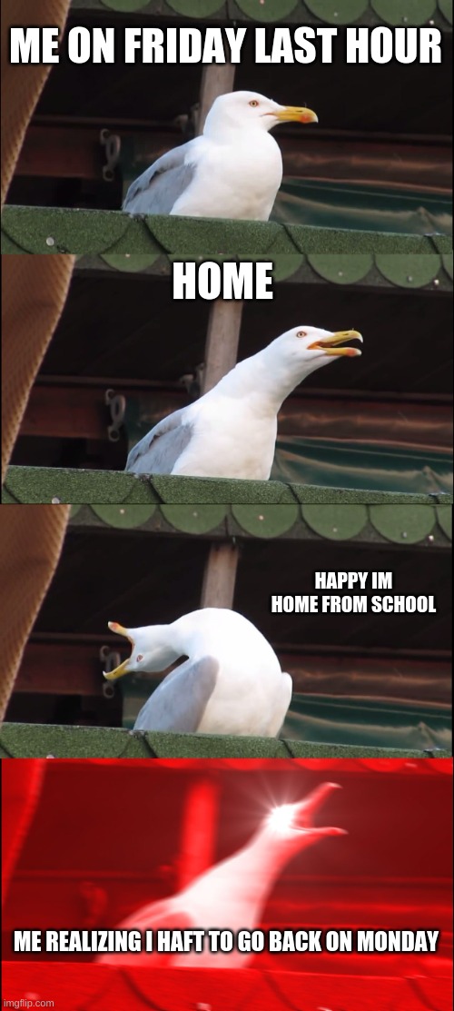 school back to back | ME ON FRIDAY LAST HOUR; HOME; HAPPY IM HOME FROM SCHOOL; ME REALIZING I HAFT TO GO BACK ON MONDAY | image tagged in memes,inhaling seagull | made w/ Imgflip meme maker