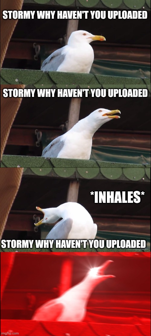 E | STORMY WHY HAVEN'T YOU UPLOADED; STORMY WHY HAVEN'T YOU UPLOADED; *INHALES*; STORMY WHY HAVEN'T YOU UPLOADED | image tagged in memes,inhaling seagull,stormy,fun | made w/ Imgflip meme maker