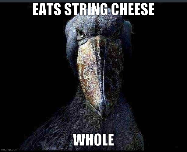 eyes of evil | EATS STRING CHEESE; WHOLE | image tagged in shoebill | made w/ Imgflip meme maker