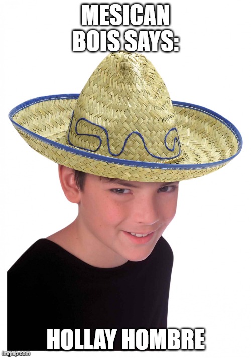 Sombrero | MESICAN BOIS SAYS:; HOLLAY HOMBRE | image tagged in sombrero man | made w/ Imgflip meme maker