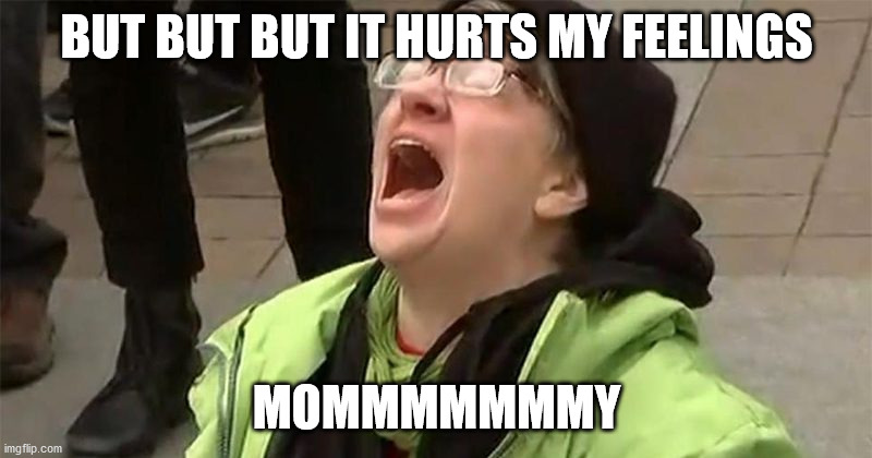 crying liberal | BUT BUT BUT IT HURTS MY FEELINGS MOMMMMMMMY | image tagged in crying liberal | made w/ Imgflip meme maker