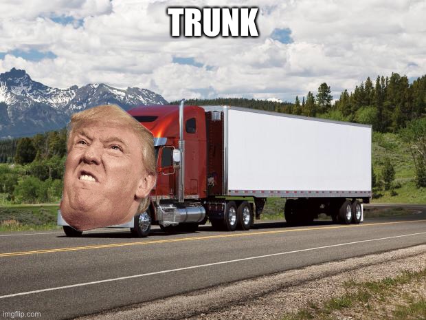 trucking | TRUNK | image tagged in trucking | made w/ Imgflip meme maker