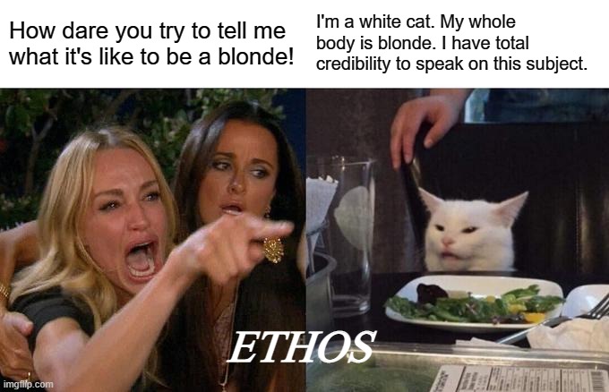 Ethos | How dare you try to tell me what it's like to be a blonde! I'm a white cat. My whole body is blonde. I have total credibility to speak on this subject. ETHOS | image tagged in memes,woman yelling at cat,blondes,how dare you | made w/ Imgflip meme maker