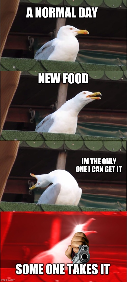 Inhaling Seagull | A NORMAL DAY; NEW FOOD; IM THE ONLY ONE I CAN GET IT; SOME ONE TAKES IT | image tagged in memes,inhaling seagull | made w/ Imgflip meme maker