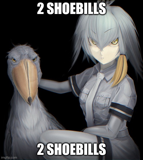 yes 2 | 2 SHOEBILLS; 2 SHOEBILLS | image tagged in shoebill | made w/ Imgflip meme maker