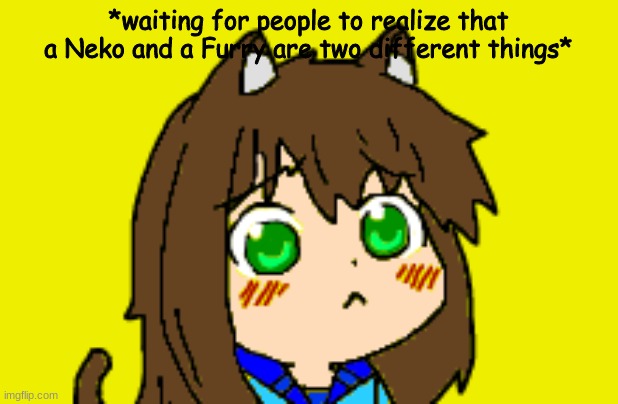 Comments off so no one Tries to Kill Luna (Im looking at you Wallhammer) | *waiting for people to realize that a Neko and a Furry are two different things* | image tagged in kawaii luna | made w/ Imgflip meme maker