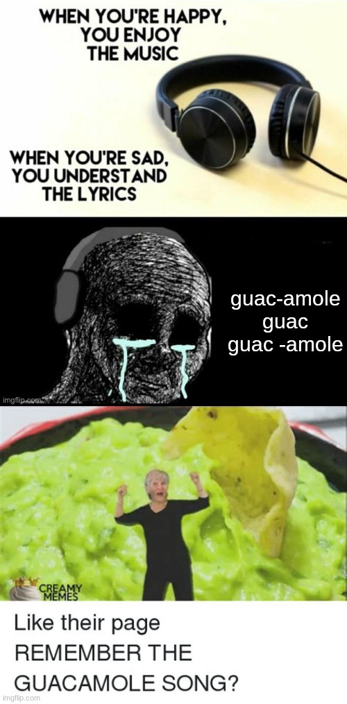 guac-amole guac guac -amole | image tagged in when your sad you understand the lyrics,guacamole,chips and dip | made w/ Imgflip meme maker