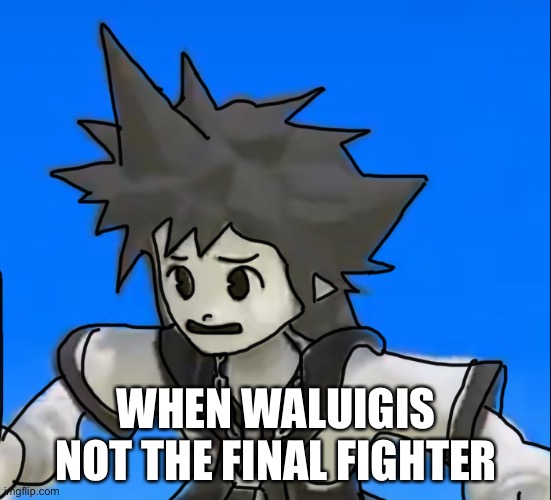 Sad sora | WHEN WALUIGIS NOT THE FINAL FIGHTER | image tagged in sad sora | made w/ Imgflip meme maker