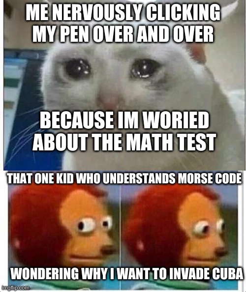 morse code | ME NERVOUSLY CLICKING MY PEN OVER AND OVER; BECAUSE IM WORIED ABOUT THE MATH TEST; THAT ONE KID WHO UNDERSTANDS MORSE CODE; WONDERING WHY I WANT TO INVADE CUBA | image tagged in crying cat,awkward muppet | made w/ Imgflip meme maker