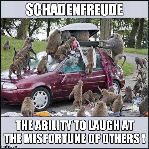 Oh No ! How Terrible ! | SCHADENFREUDE; THE ABILITY TO LAUGH AT THE MISFORTUNE OF OTHERS ! | image tagged in schadenfreude,monkeys,attack | made w/ Imgflip meme maker