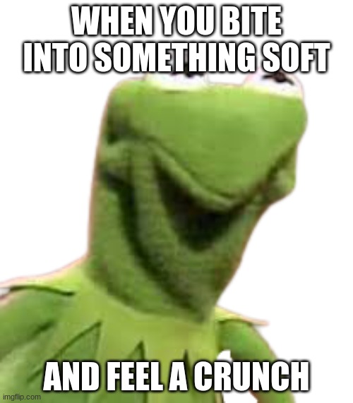 Behold, A new template! | WHEN YOU BITE INTO SOMETHING SOFT; AND FEEL A CRUNCH | image tagged in kermit,funny,new template | made w/ Imgflip meme maker