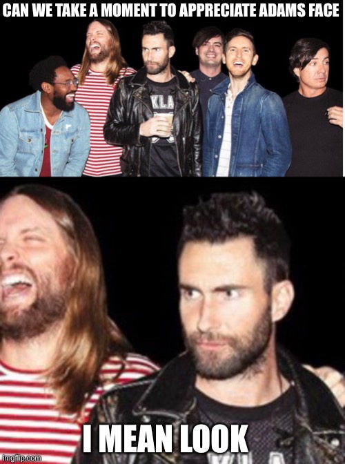 M5 |  CAN WE TAKE A MOMENT TO APPRECIATE ADAMS FACE; I MEAN LOOK | image tagged in m5 | made w/ Imgflip meme maker