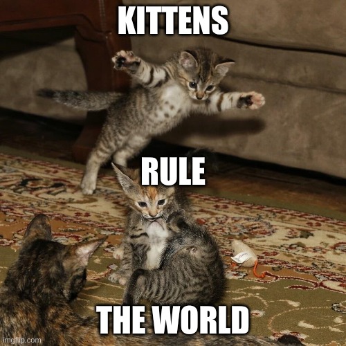 KITTENS RULE THE RULE | KITTENS; RULE; THE WORLD | image tagged in kitten ambush | made w/ Imgflip meme maker