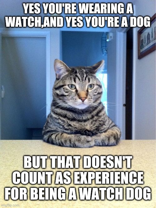 Take A Seat Cat |  YES YOU'RE WEARING A WATCH,AND YES YOU'RE A DOG; BUT THAT DOESN'T COUNT AS EXPERIENCE FOR BEING A WATCH DOG | image tagged in memes,take a seat cat | made w/ Imgflip meme maker