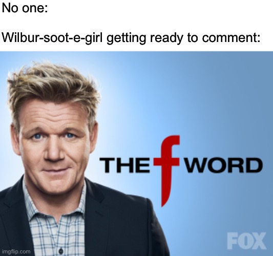 FRICK | No one:
 
Wilbur-soot-e-girl getting ready to comment: | image tagged in funny | made w/ Imgflip meme maker
