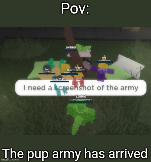 They may bite you to death |  Pov:; The pup army has arrived | image tagged in pup | made w/ Imgflip meme maker