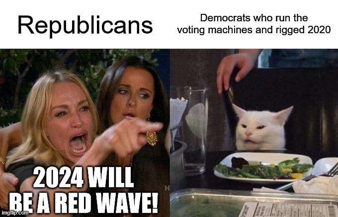 Woman Yelling At Cat Meme | Republicans; Democrats who run the voting machines and rigged 2020; 2024 WILL BE A RED WAVE! | image tagged in memes,woman yelling at cat | made w/ Imgflip meme maker