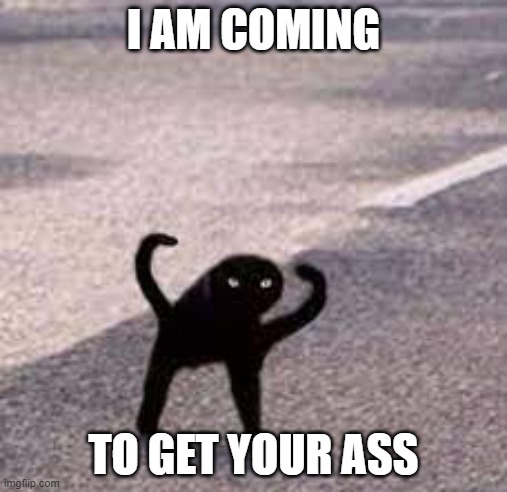 I am coming for a reason | I AM COMING; TO GET YOUR ASS | image tagged in black cat,fight me | made w/ Imgflip meme maker