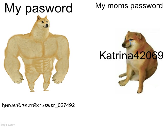 Lul | My pasword; My moms password; Katrina42069; ђคг๔єรՇקครรฬ๏г๔єשєг_027492 | image tagged in memes,buff doge vs cheems,password | made w/ Imgflip meme maker