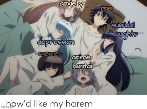 harem | made w/ Imgflip meme maker