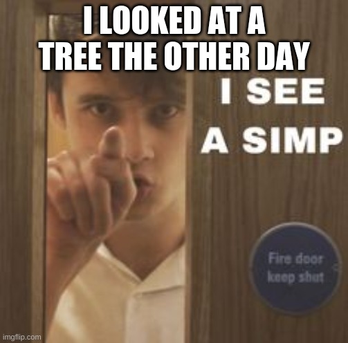 Wilbur I see a simp | I LOOKED AT A TREE THE OTHER DAY | image tagged in wilbur i see a simp | made w/ Imgflip meme maker