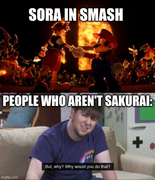 This is just a joke. | SORA IN SMASH; PEOPLE WHO AREN'T SAKURAI: | image tagged in sora in smash,but why why would you do that | made w/ Imgflip meme maker
