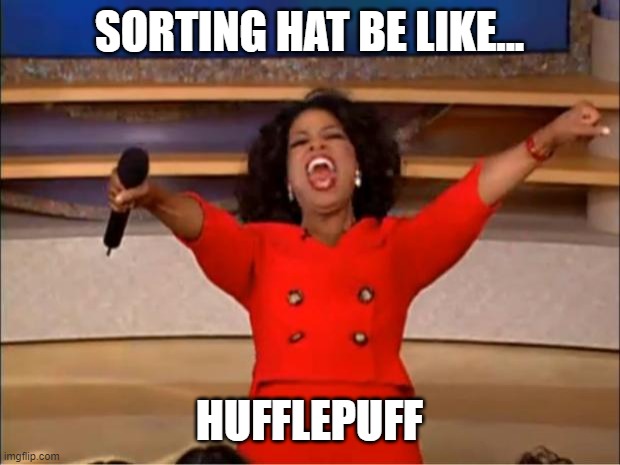 Oprah You Get A | SORTING HAT BE LIKE... HUFFLEPUFF | image tagged in memes,oprah you get a | made w/ Imgflip meme maker