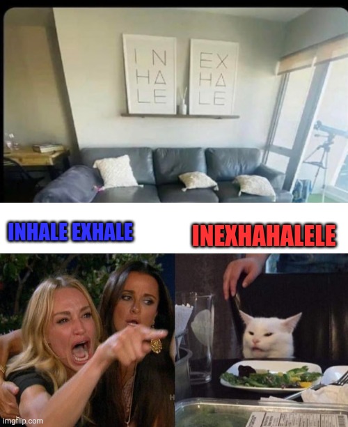 INEXHAHALELE; INHALE EXHALE | image tagged in memes,woman yelling at cat | made w/ Imgflip meme maker