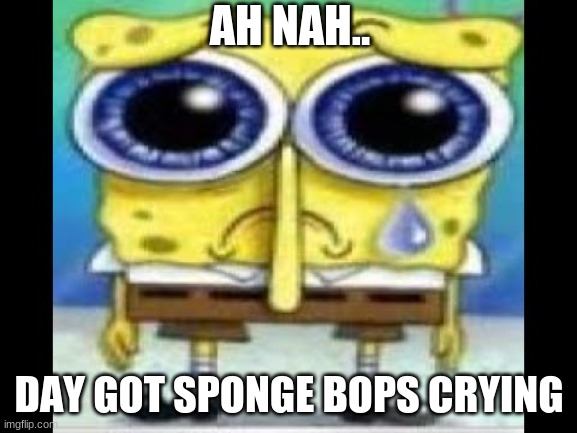 SPONGEBOPS | AH NAH.. DAY GOT SPONGE BOPS CRYING | image tagged in spongebob | made w/ Imgflip meme maker