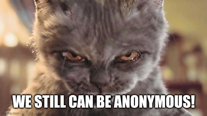 Evil Cat | WE STILL CAN BE ANONYMOUS! | image tagged in evil cat | made w/ Imgflip meme maker