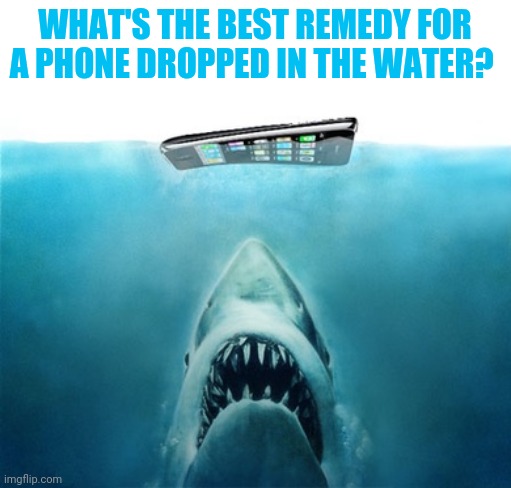 I tried rice overnight: phone is still acting up | WHAT'S THE BEST REMEDY FOR A PHONE DROPPED IN THE WATER? | made w/ Imgflip meme maker