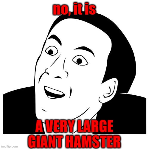 you don't say | no, it is A VERY LARGE GIANT HAMSTER | image tagged in you don't say | made w/ Imgflip meme maker