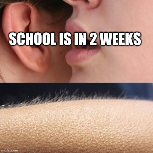 Whisper and Goosebumps | SCHOOL IS IN 2 WEEKS | image tagged in whisper and goosebumps | made w/ Imgflip meme maker