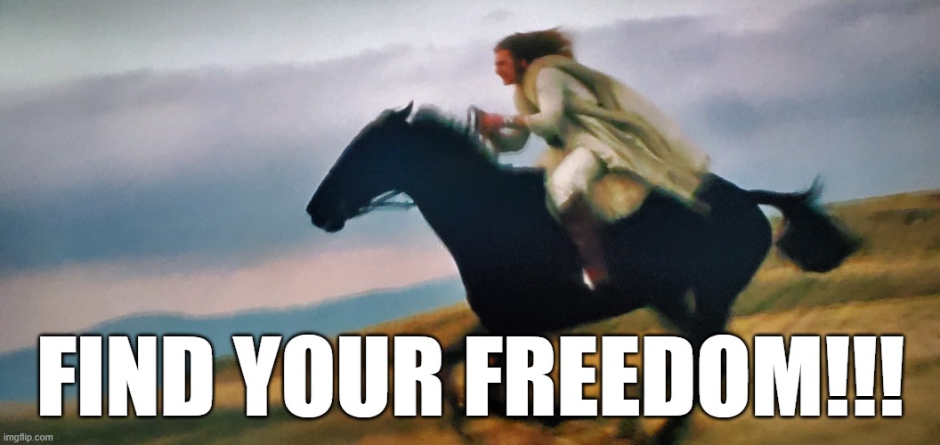 Find your freedom | FIND YOUR FREEDOM!!! | image tagged in freedom,led zepellin,spirit | made w/ Imgflip meme maker