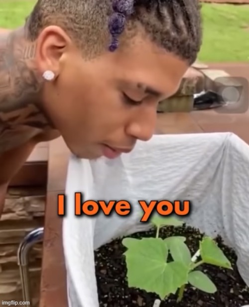 . | made w/ Imgflip meme maker