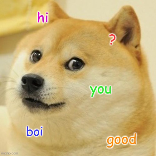 Doge | hi; ? you; boi; good | image tagged in memes,doge | made w/ Imgflip meme maker