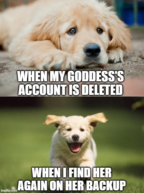 Sad Puppy, Happy Puppy Goddess | WHEN MY GODDESS'S
ACCOUNT IS DELETED; WHEN I FIND HER
AGAIN ON HER BACKUP | image tagged in sad puppy happy puppy 2,memes | made w/ Imgflip meme maker