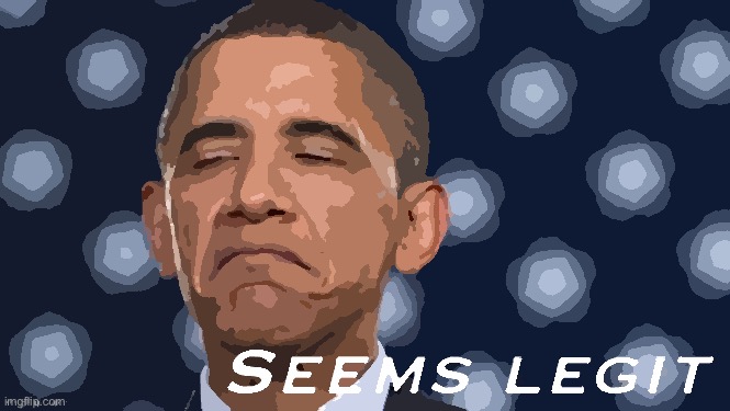Obama seems legit | image tagged in obama seems legit | made w/ Imgflip meme maker