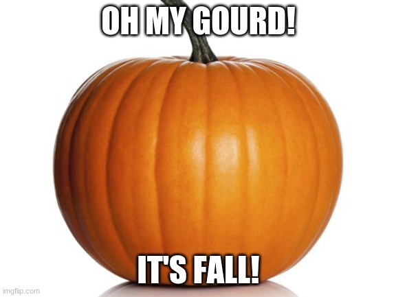pumpkin | OH MY GOURD! IT'S FALL! | image tagged in pumpkin | made w/ Imgflip meme maker