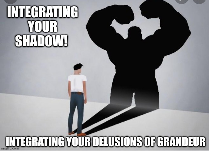 Jungs shadow | INTEGRATING YOUR SHADOW! INTEGRATING YOUR DELUSIONS OF GRANDEUR | image tagged in jung,peterson | made w/ Imgflip meme maker