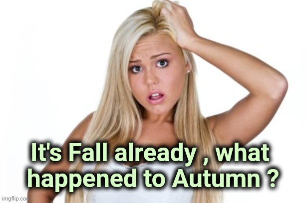 Dumb Blonde | It's Fall already , what 
happened to Autumn ? | image tagged in dumb blonde | made w/ Imgflip meme maker