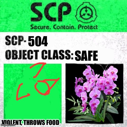 SCP Label Template: Safe |  SAFE; 504; VIOLENT, THROWS FOOD | image tagged in scp label template safe | made w/ Imgflip meme maker