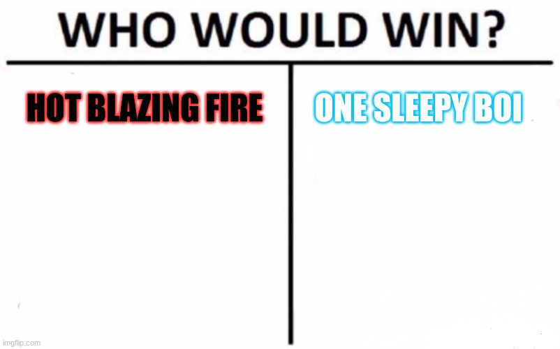 Who Would Win? | HOT BLAZING FIRE; ONE SLEEPY BOI | image tagged in memes,who would win | made w/ Imgflip meme maker
