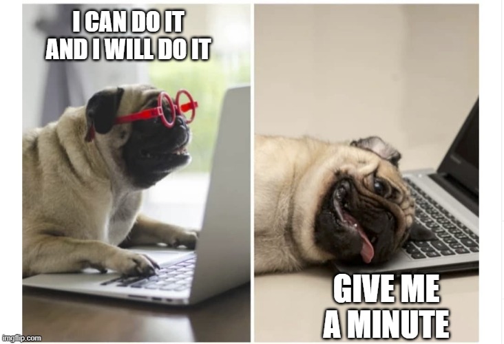 I can do it | I CAN DO IT AND I WILL DO IT; GIVE ME A MINUTE | image tagged in zoom struggle | made w/ Imgflip meme maker